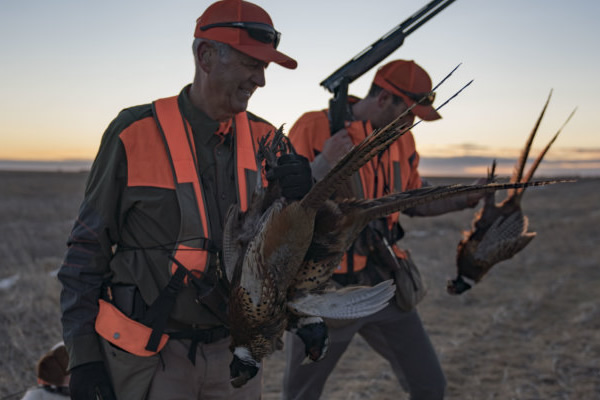 Mark Peterson hunting Pheasant in Nebraska