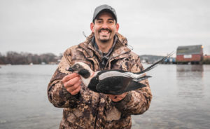 Mark Peterson Long-tailed Duck