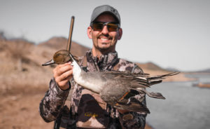 Mark Peterson Northern Pintail