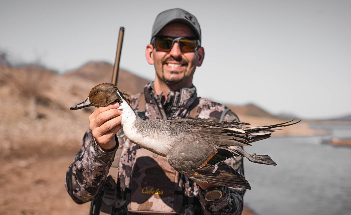 Mark Peterson Northern Pintail