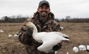 Mark Peterson Greater Snow Goose
